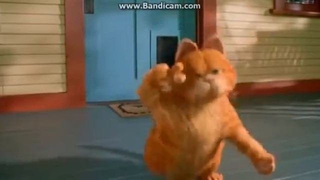 Смешной прикол!!! Сумошедший Гарфилд!!!