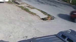 Автоледи!!! Осторожно за рулем женщины!