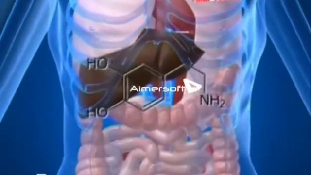 Влияние газировки на кровь и аппарат СЕМ ТЕСН смотреть онлайн