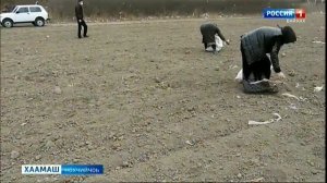 "Вести-Чеченская Республика" на чеченском языке (Россия 1 - Вайнах, 11.11.2020, 14:30)