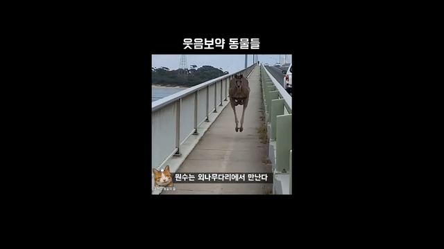 dungeon master 2.0 смотреть онлайн