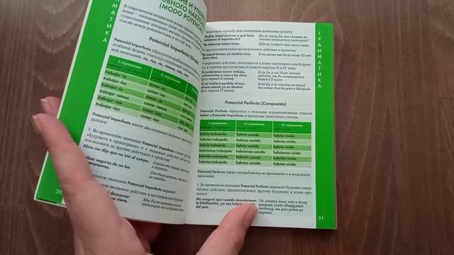 Berlitz. Испанский язык. Справочник по глаголам смотреть онлайн