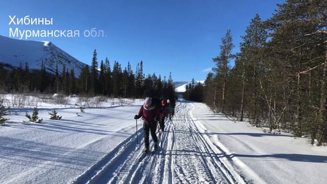 Спортивный туризм в школе 1593! смотреть онлайн