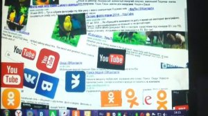 Яндекс ты лапочка но Гугл лучше