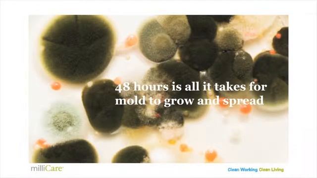 milliCare's Dry Centered Method = No Mold смотреть онлайн