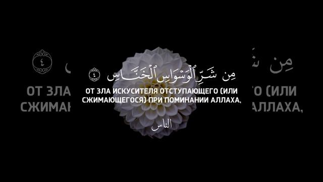Красивое чтение Мухаммада аль-Люхайдана | Сура 114 Ан-Нас смотреть онлайн
