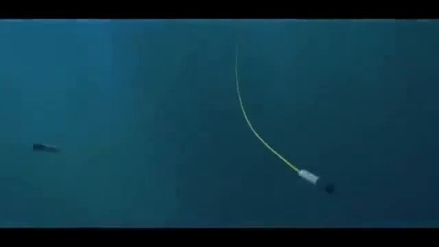 Музыка - как язык общения всего живого. смотреть онлайн