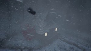 СНЕЖНАЯ БУРЯ на Аляске в 2024 году заставила спать 5 часов. Уютные звуки снежной бури для сна