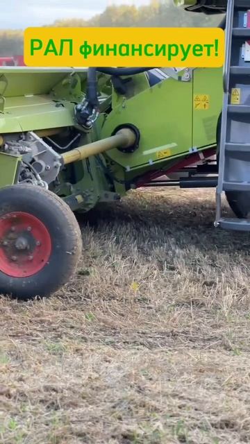 Claas подбирает полеглое! РАЛ финансирует! #Рал #лизинг
