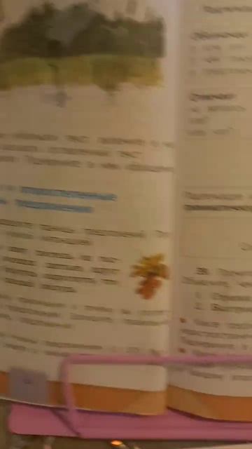 кто угадает в каком я классе на того подпишусь