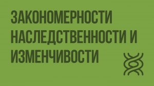 Закономерности наследственности и изменчивости. Видеоурок по биологии 10 класс