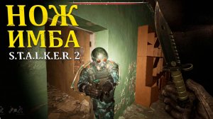 Меня так ещё не окружали в Stalker 2/Сталкер 2 - Прохождение часть 57