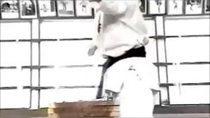 Эксклюзивное интервью Ояма Масутацу 1994 год