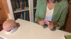 Нейроупражнение "Продвинутая лесенка"