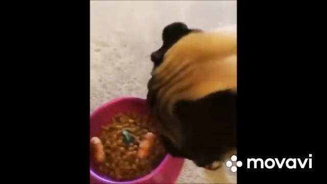 ШАУРМА 10 смотреть онлайн