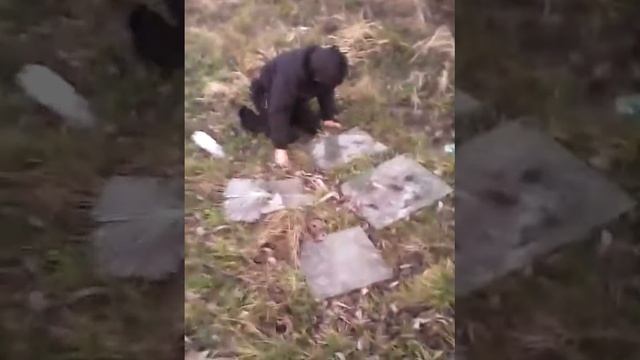 [ГОЛОВОЙ #3] смотреть онлайн