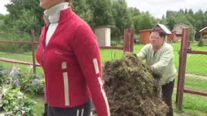 6 соток 17 июля 2020 года. Хроника.