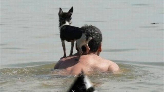 лучший друг смотреть онлайн