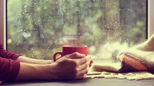 Полгода плохая погода