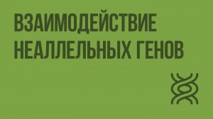 Взаимодействие неаллельных генов. Видеоурок по биологии 10 класс