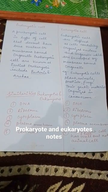 prokaryotes and eukaryotes notes смотреть онлайн
