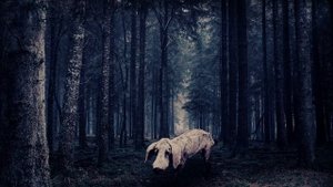 ВСТРЕЧА С ОБОРОТНЕМ В ЛЕСУ (Страшная история)
