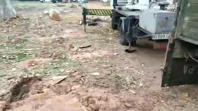 Вырубка деревьев в Ташкенте продолжается, несмотря на мораторий Президента Узбекистана.