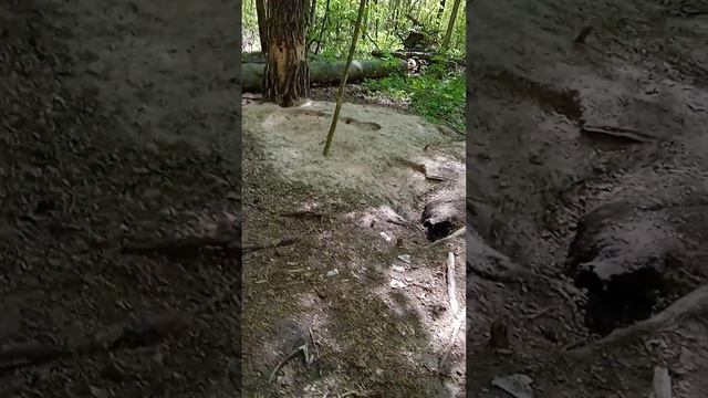 Логово лисы. смотреть онлайн