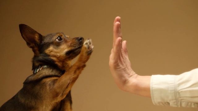 8 правил психолога, которые работают. смотреть онлайн