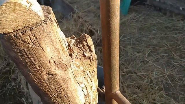 Мои быки смотреть онлайн