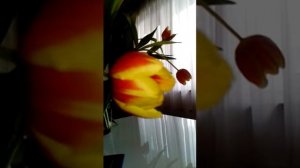 Песенка про Вику