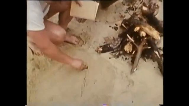 КАК ПОСТРОИТЬ ПАРОХОД? Ю.Чернов, Р.Рудин, Г.Матвеев, В.Шимановский смотреть онлайн