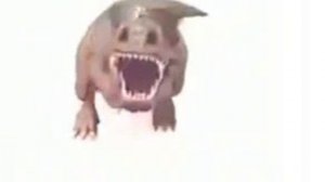 легендарный мем с ДИНОЗАВРИКОМ