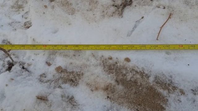 22.12.20, Э-07-20, Страхов А.М, Норматив за КМ-3, прыжок в длину смотреть онлайн