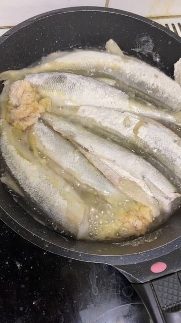 Корюшка с Карского моря 🧑🍳 смотреть онлайн