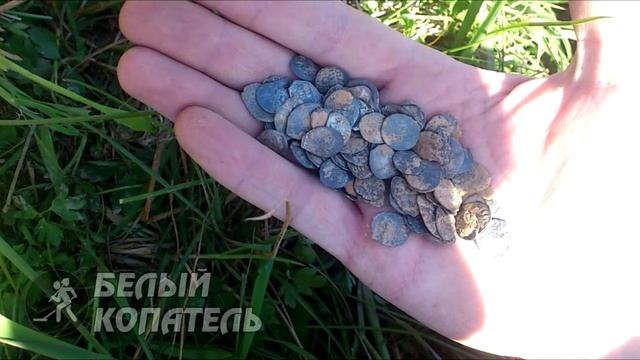 НАШЛИ КЛАД ИВАНА ГРОЗНОГО! ТРИ ДНЯ ЕГО КОПАЛИ!