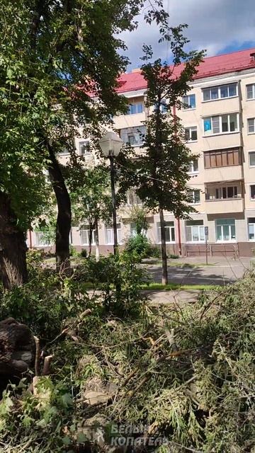 Подольск после урагана Эдгар 21.06.2024 смотреть онлайн