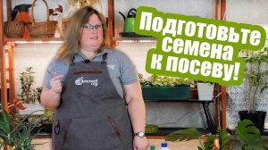 В чем замачивать семена? РАБОТАЮЩИЕ средства для подготовки семян!