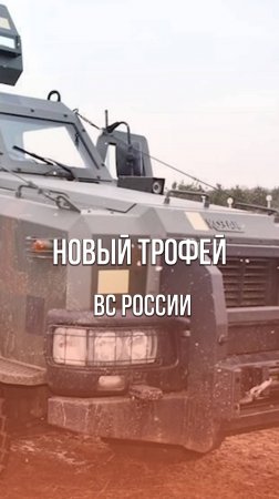 Посмотрите, что бойцы армии России затрофеили в зоне СВО! Видео из Донбасса