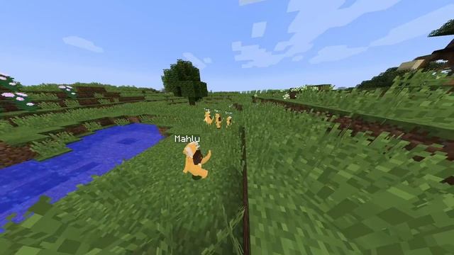 Лучший обзор на Дженни мод в Майнкрафт  Netron  minecraft майнкрафт jennymod