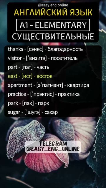 👨🎓🇬🇧 СУЩЕСТВИТЕЛЬНЫЕ - A1 | ELEMENTARY (72) 🚀 АНГЛИЙСКИЙ ЯЗЫК СЛУШАТЬ ⭐
