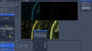 9. FRET. Light path settings for sensitized emission detection