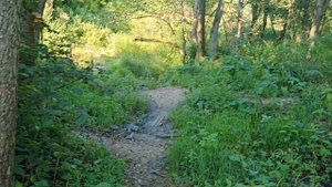 Родник в Мартьяново