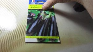 Баклажан «Фарама F1»: Обзор гибрида от Престиж-семена