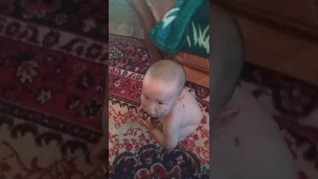 Бантик сорпа смотреть онлайн