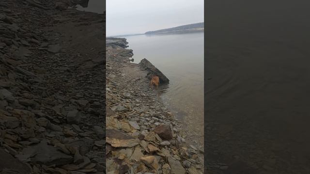 Вся таблица Менделеева. смотреть онлайн