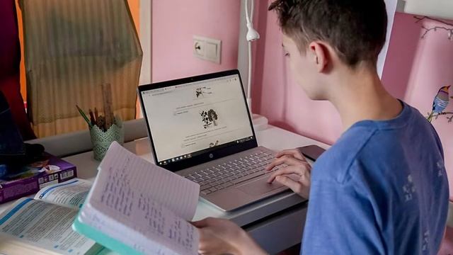 Плюсы и минусы дистанционного обучения