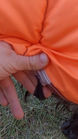 Сшила попону для Гриши) #shorts