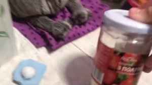 /VLOG/ ПРОГУЛКА С ЛИЛИ+НАШ ЛЕТНИЙ ВЕЧЕРОК🌞 #басики #басик #утро #прогулка