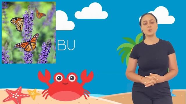 portfolio 4 смотреть онлайн